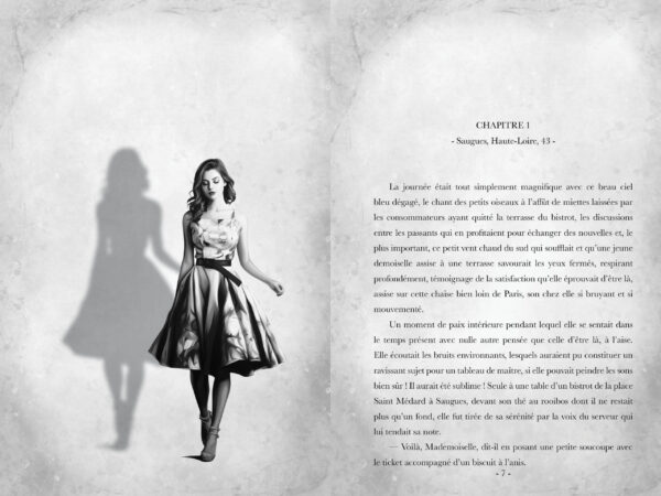 Les disparues de l'Hexagone (polar) – Image 4